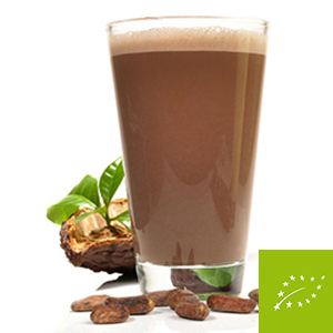 Bio Schoko-Drink